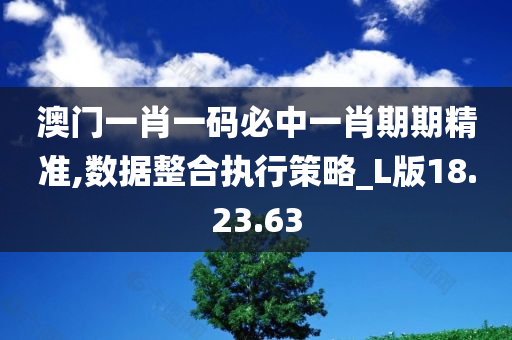 澳门一肖一码必中一肖期期精准,数据整合执行策略_L版18.23.63