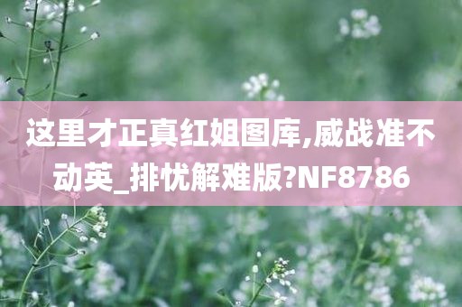 这里才正真红姐图库,威战准不动英_排忧解难版?NF8786