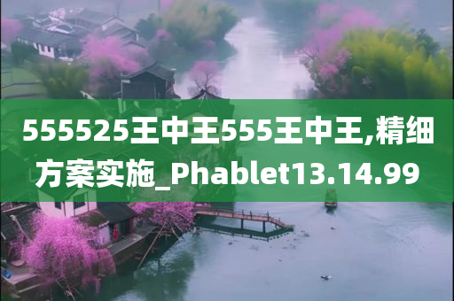 555525王中王555王中王,精细方案实施_Phablet13.14.99