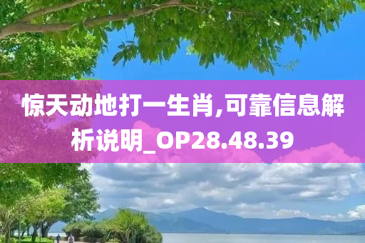 惊天动地打一生肖,可靠信息解析说明_OP28.48.39