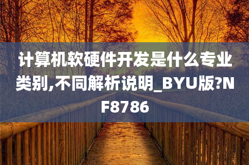 计算机软硬件开发是什么专业类别,不同解析说明_BYU版?NF8786