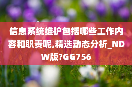 信息系统维护包括哪些工作内容和职责呢,精选动态分析_NDW版?GG756