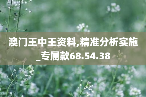 澳门王中王资料,精准分析实施_专属款68.54.38