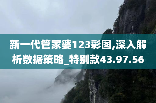 新一代管家婆123彩图,深入解析数据策略_特别款43.97.56