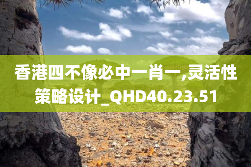 香港四不像必中一肖一,灵活性策略设计_QHD40.23.51