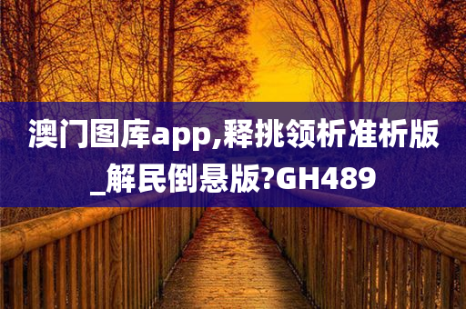 澳门图库app,释挑领析准析版_解民倒悬版?GH489