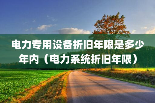 电力专用设备折旧年限是多少年内（电力系统折旧年限）