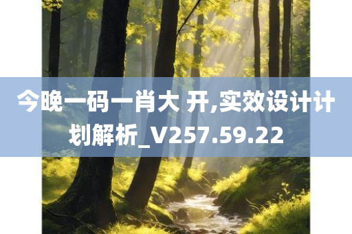 今晚一码一肖大 开,实效设计计划解析_V257.59.22