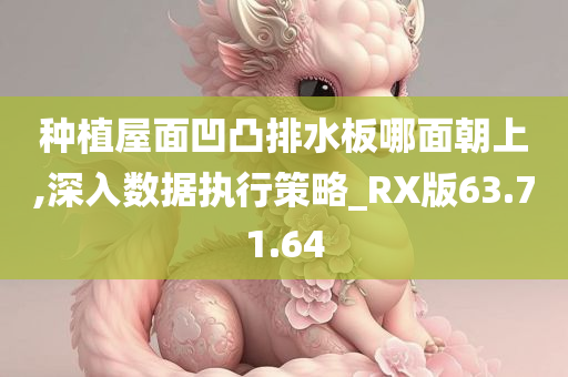 种植屋面凹凸排水板哪面朝上,深入数据执行策略_RX版63.71.64