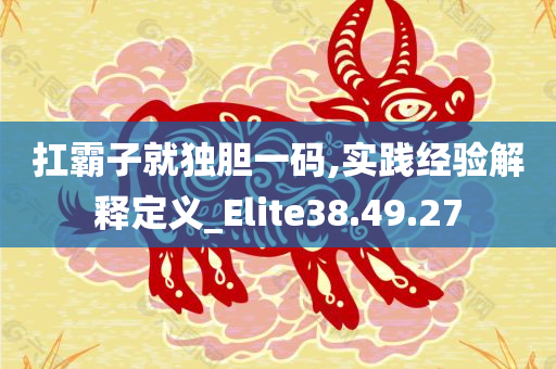 扛霸子就独胆一码,实践经验解释定义_Elite38.49.27