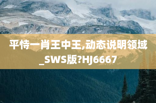 平恃一肖王中王,动态说明领域_SWS版?HJ6667