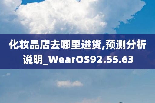 化妆品店去哪里进货,预测分析说明_WearOS92.55.63