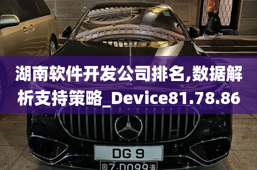 湖南软件开发公司排名,数据解析支持策略_Device81.78.86