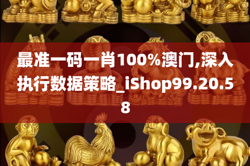 最准一码一肖100%澳门,深入执行数据策略_iShop99.20.58