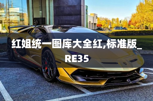 红姐统一图库大全红,标准版_RE35