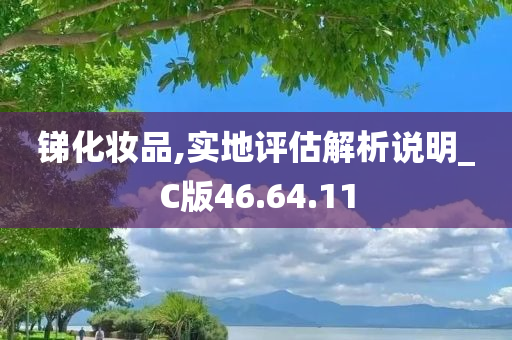 锑化妆品,实地评估解析说明_C版46.64.11