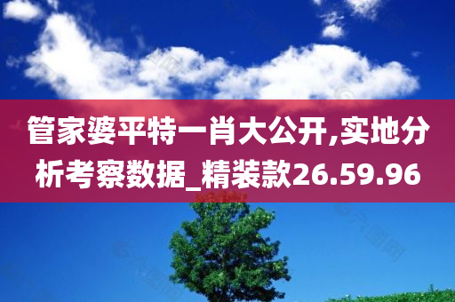 管家婆平特一肖大公开,实地分析考察数据_精装款26.59.96