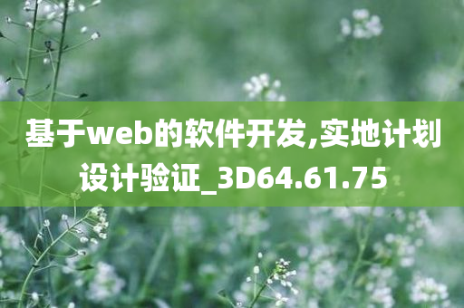 基于web的软件开发,实地计划设计验证_3D64.61.75