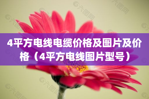 4平方电线电缆价格及图片及价格（4平方电线图片型号）