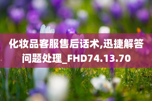 化妆品客服售后话术,迅捷解答问题处理_FHD74.13.70