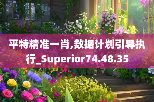 平特精准一肖,数据计划引导执行_Superior74.48.35