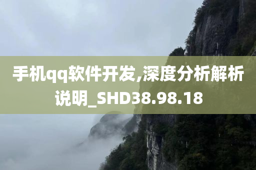 手机qq软件开发,深度分析解析说明_SHD38.98.18