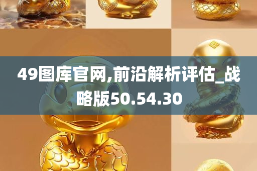 49图库官网,前沿解析评估_战略版50.54.30