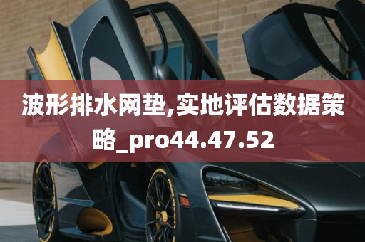 波形排水网垫,实地评估数据策略_pro44.47.52