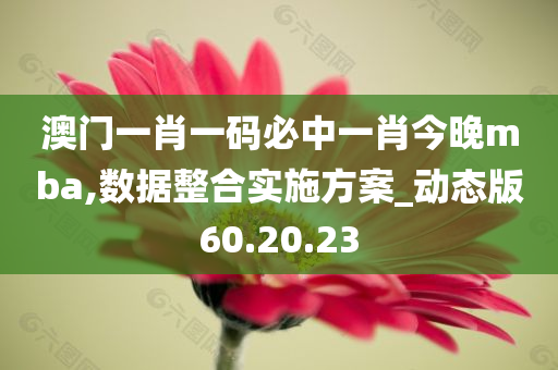 澳门一肖一码必中一肖今晚mba,数据整合实施方案_动态版60.20.23