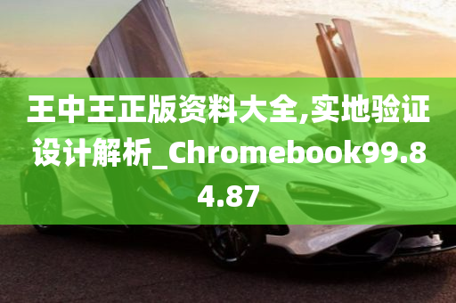 王中王正版资料大全,实地验证设计解析_Chromebook99.84.87