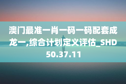 澳门最准一肖一码一码配套成龙一,综合计划定义评估_SHD50.37.11