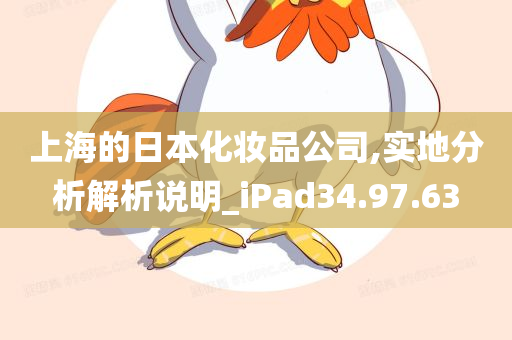 上海的日本化妆品公司,实地分析解析说明_iPad34.97.63