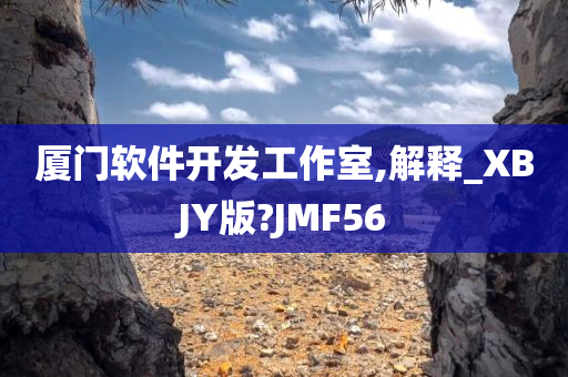 厦门软件开发工作室,解释_XBJY版?JMF56