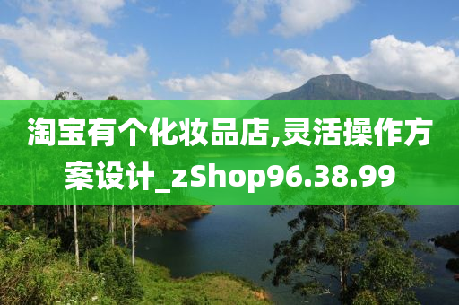 淘宝有个化妆品店,灵活操作方案设计_zShop96.38.99