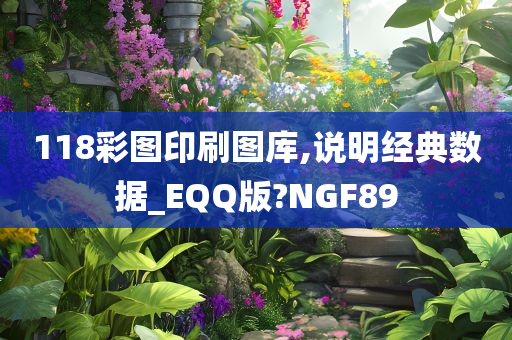 118彩图印刷图库,说明经典数据_EQQ版?NGF89