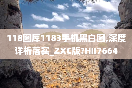 118图库1183手机黑白图,深度详析落实_ZXC版?HII7664