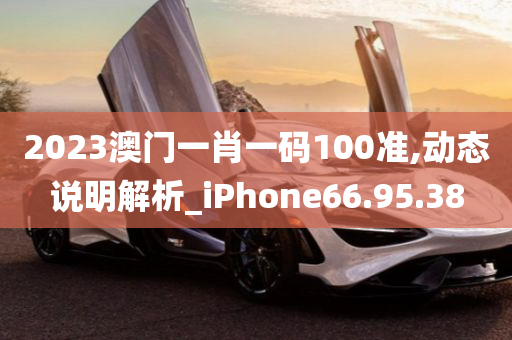 2023澳门一肖一码100准,动态说明解析_iPhone66.95.38