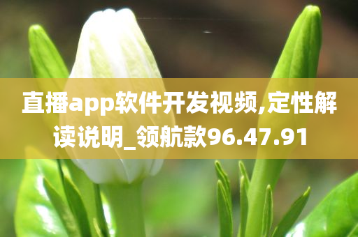 直播app软件开发视频,定性解读说明_领航款96.47.91