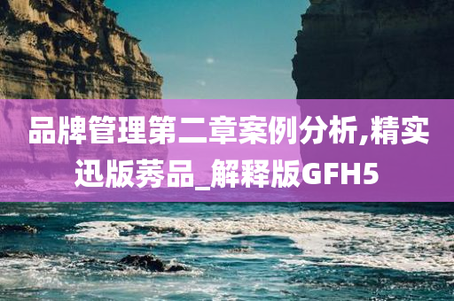 品牌管理第二章案例分析,精实迅版莠品_解释版GFH5