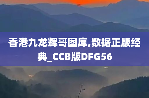 香港九龙辉哥图库,数据正版经典_CCB版DFG56