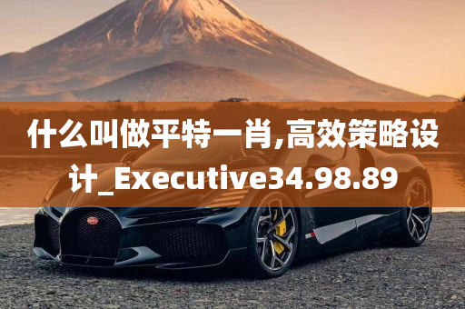 什么叫做平特一肖,高效策略设计_Executive34.98.89