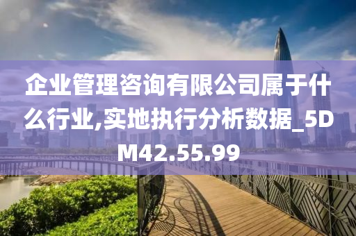 企业管理咨询有限公司属于什么行业,实地执行分析数据_5DM42.55.99