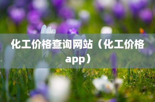 化工价格查询网站（化工价格app）