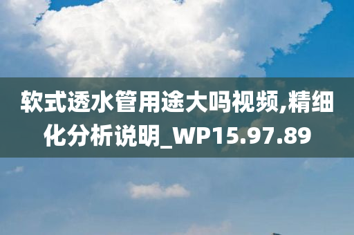 软式透水管用途大吗视频,精细化分析说明_WP15.97.89