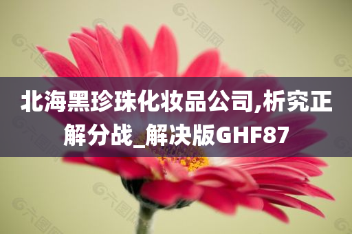 北海黑珍珠化妆品公司,析究正解分战_解决版GHF87