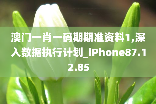 澳门一肖一码期期准资料1,深入数据执行计划_iPhone87.12.85