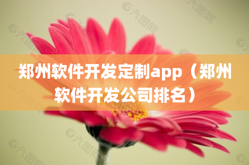 郑州软件开发定制app（郑州软件开发公司排名）