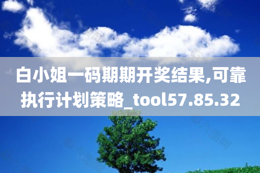 白小姐一码期期开奖结果,可靠执行计划策略_tool57.85.32