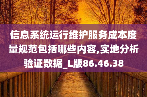 信息系统运行维护服务成本度量规范包括哪些内容,实地分析验证数据_L版86.46.38