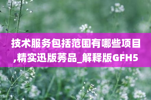 技术服务包括范围有哪些项目,精实迅版莠品_解释版GFH5